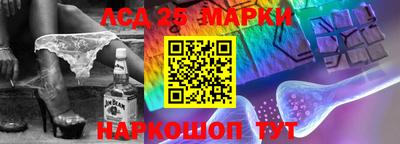 стафф Новозыбков