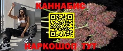 стафф Новозыбков